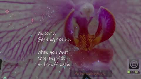 Atrena online show from 04.15.26