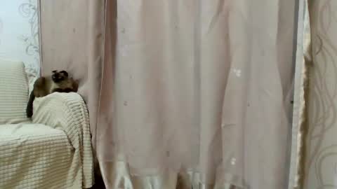 Kiara Xanthe online show from 02.25.26