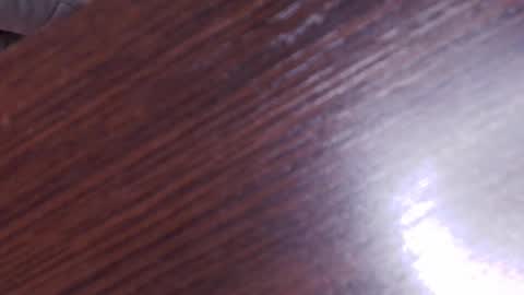 Snapshot of auroradiaz_ chatting on 02.08.25 Aurora Diaz online show from 02.08.25