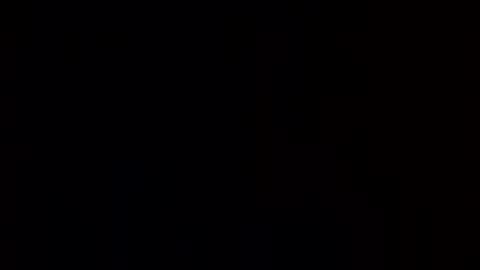 Pluke online show from 01.11.25