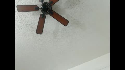 Lily  Orion online show from 02.13.25