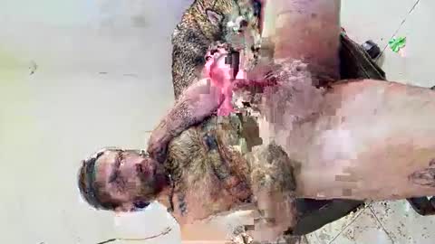 deliciosodemente online show from 03.04.26