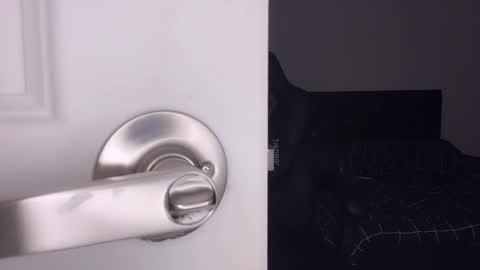 Aya online show from 03.07.26