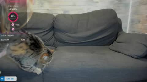 Maribel Bel online show from 04.16.26