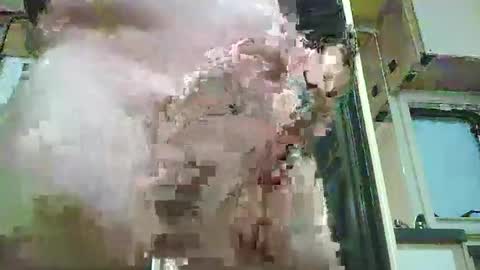 Snapshot of azzlis chatting on 03.02.26 huge mature cock online show from 03.02.26