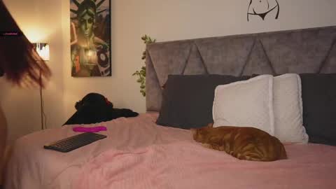 Samanta online show from 03.11.25