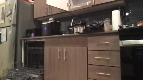 Carly online show from 04.26.26