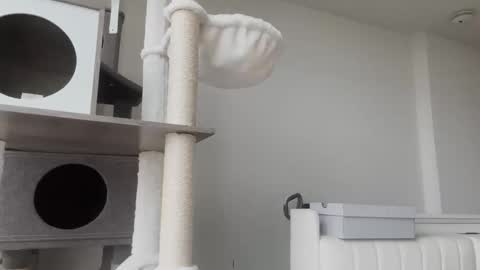 DADDY online show from 01.08.26