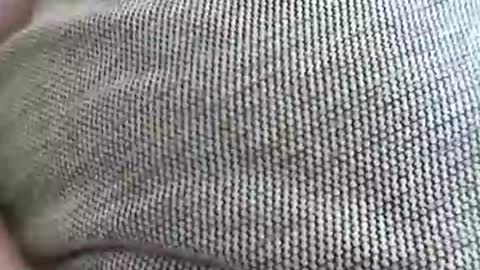 babydollxoxoxo123 online show from 04.07.26