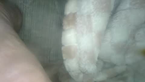 babyxxxangel online show from 12.19.24