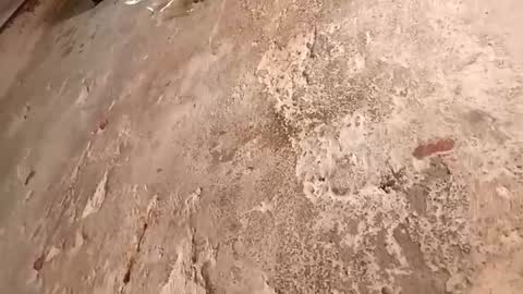 Snapshot of babyy_foxxy chatting on 10.02.25 Megan online show from 10.02.25