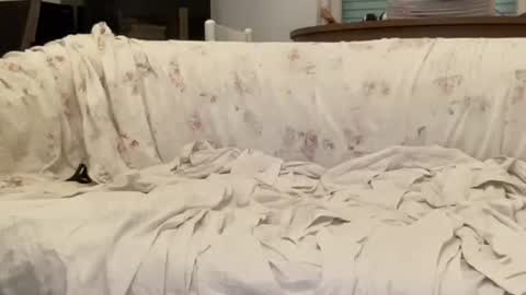 bach online show from 02.12.25