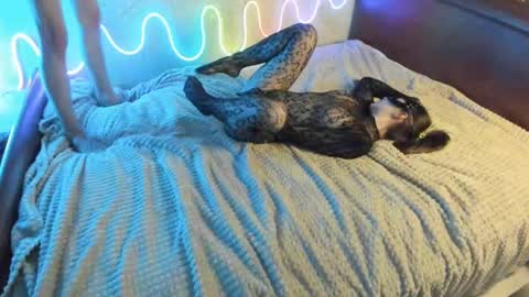 bada_b1ng online show from 12.07.24