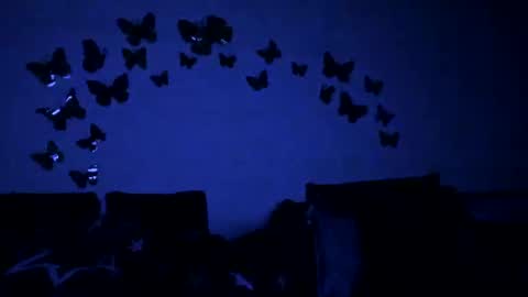 Gina online show from 02.12.25