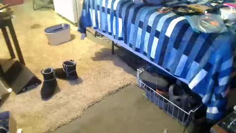 Snapshot of badnews68 chatting on 12.27.24 StillPoPimpin online show from 12.27.24