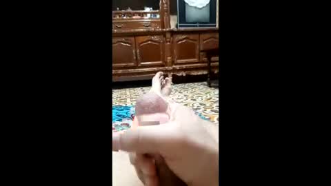 bahaa5555 online show from 02.12.26