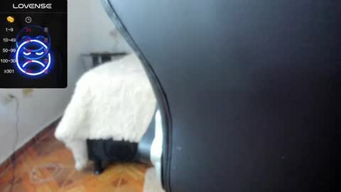 Snapshot of baileyadamss chatting on 02.17.25 IM BAILEY online show from 02.17.25