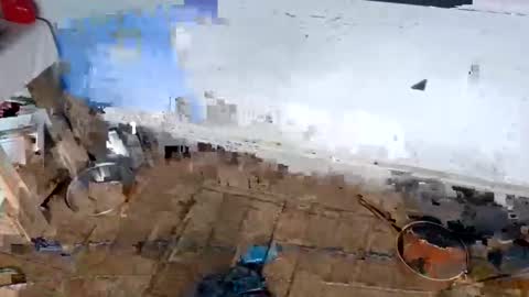 ballshanginglowaf online show from 02.01.26