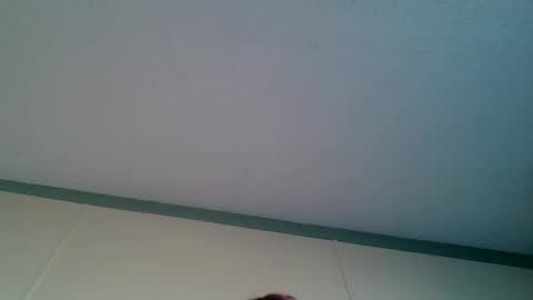 bamacpl80 online show from 01.01.25