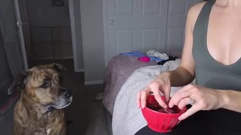 bambifarrina online show from 01.18.26