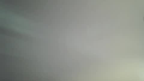 Bambi online show from 04.14.26