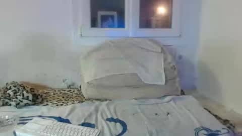 bambino6060 online show from 12.02.24