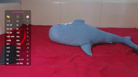 . online show from 09.10.25