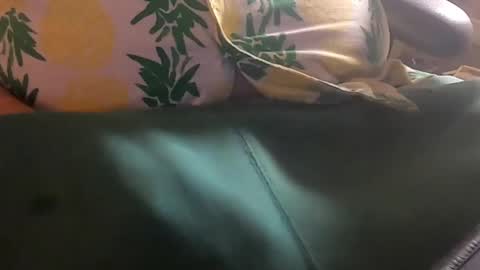 Snapshot of bankhank chatting on 11.04.25 Wank Hank online show from 11.04.25