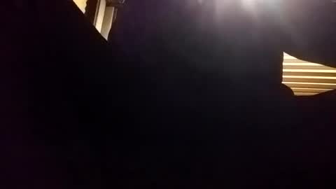 Snapshot of baobabtree8 chatting on 12.24.24 baobabtree8 online show from 12.24.24