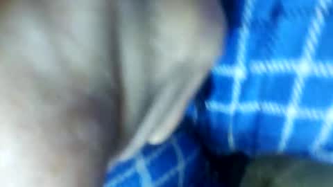 Snapshot of barbitall chatting on 11.15.25 barbitall online show from 11.15.25