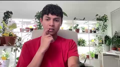 Basicflxp online show from 07.15.26