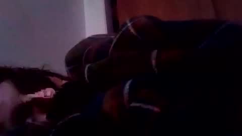 bathingcat online show from 01.19.25