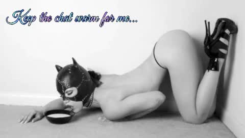 Your always sexy Harley online show from 07.08.26