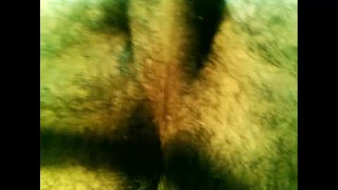 bayfall online show from 12.14.24