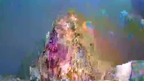 baylee_nicole18 online show from 06.04.26