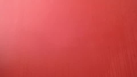 bayonette_black online show from 01.08.26