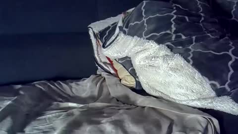 bbc_highness online show from 03.29.26