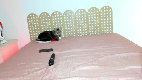 Beautyraf online show from 12.18.25