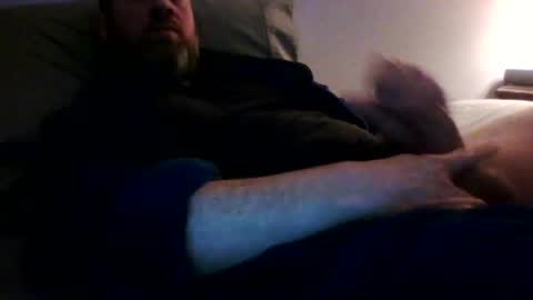 beekstar online show from 03.08.26