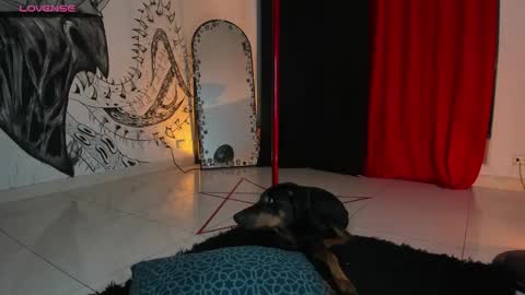 Snapshot of beelzebosss chatting on 01.05.25 Daniela ur fav living dead girl online show from 01.05.25