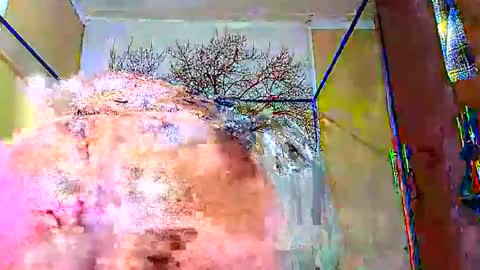 Snapshot of beencee2 chatting on 01.12.25 beencee2 online show from 01.12.25