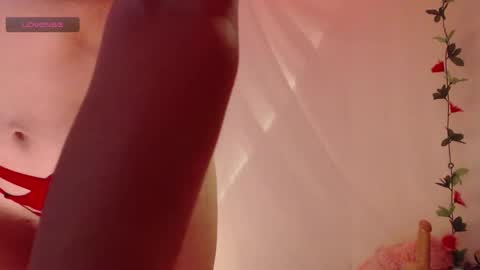 Belladonna  online show from 11.25.25