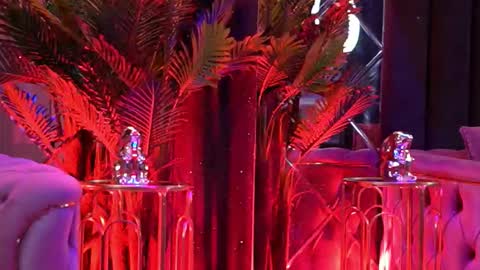 Bella online show from 02.09.26