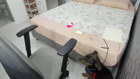 Bella  Angelycal online show from 02.20.25