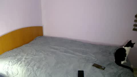 bellaqueen0701 online show from 03.06.25