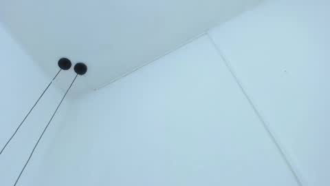 Snapshot of bellota_flak chatting on 12.11.24 Bellota Flak online show from 12.11.24