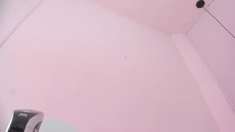 Snapshot of bellota_flak chatting on 11.08.25 Bellota Flak online show from 11.08.25