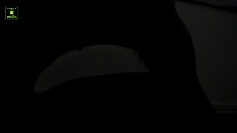 Benny online show from 07.15.26
