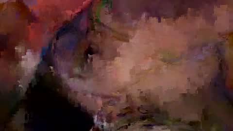 bentito2 online show from 07.01.26