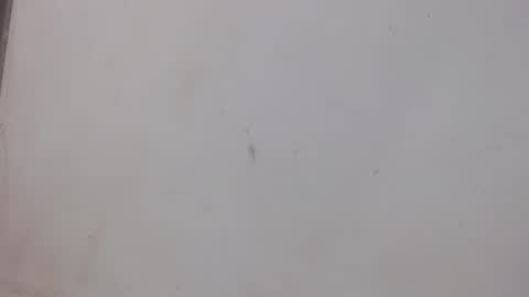 Bergon77 online show from 02.01.25